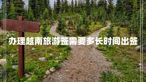 办理越南旅游签需要多长时间出签