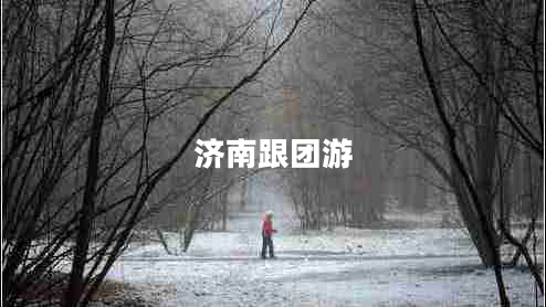 济南跟团游