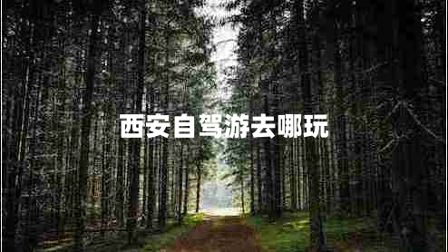 西安自驾游去哪玩