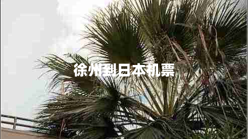 徐州到日本机票