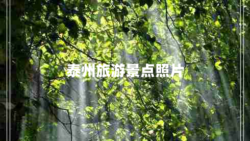 泰州旅游景点照片