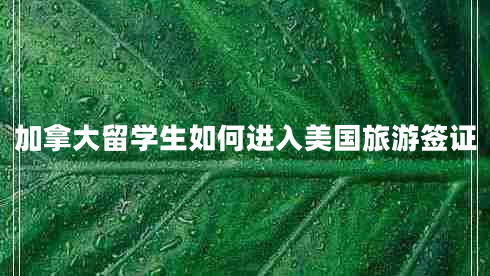 加拿大留学生如何进入美国旅游签证