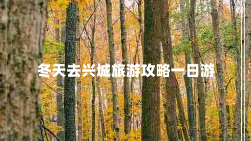 冬天去兴城旅游攻略一日游