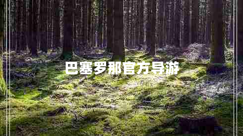 巴塞罗那官方导游