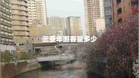 三亚年游客量多少