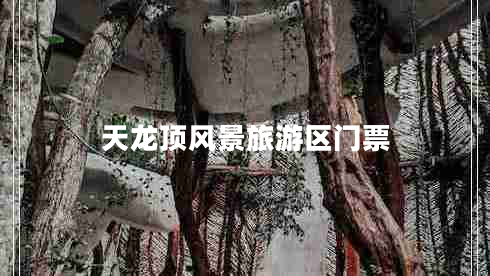 天龙顶风景旅游区门票