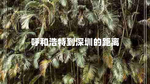 呼和浩特到深圳的距离