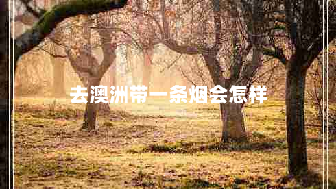 去澳洲带一条烟会怎样