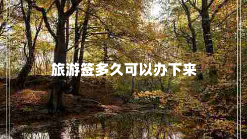 旅游签多久可以办下来