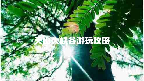 天山大峡谷游玩攻略
