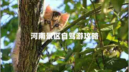 河南景区自驾游攻略