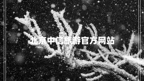 北京中信旅游官方网站