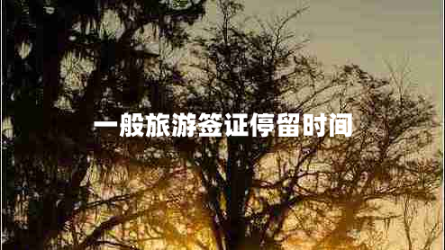 一般旅游签证停留时间