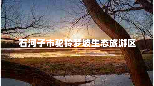 石河子市驼铃梦坡生态旅游区