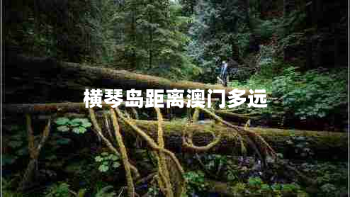 横琴岛距离澳门多远