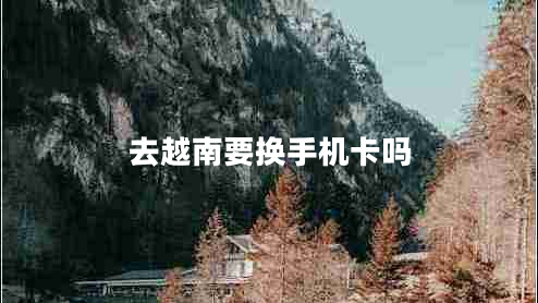 去越南要换手机卡吗