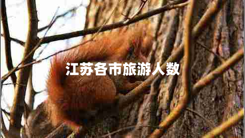 江苏各市旅游人数