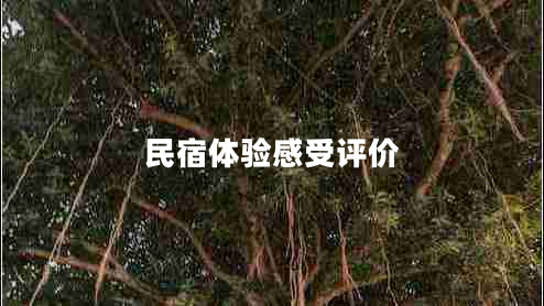 民宿体验感受评价