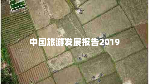 中国旅游发展报告2019