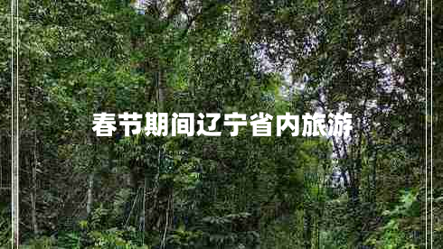 春节期间辽宁省内旅游