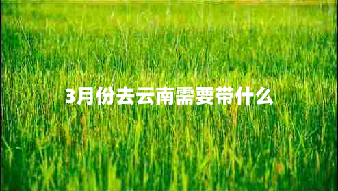 3月份去云南需要带什么