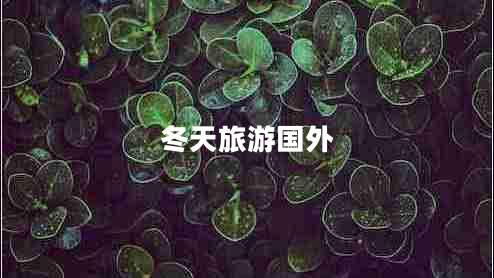 冬天旅游国外