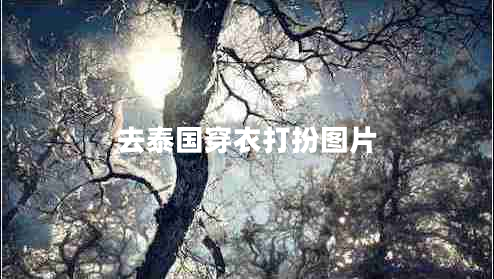 去泰国穿衣打扮图片