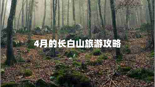 4月的长白山旅游攻略 4月的长白山旅游攻略