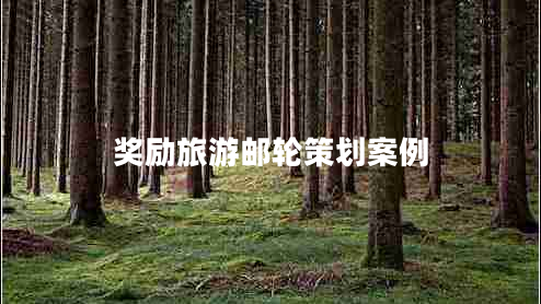 奖励旅游邮轮策划案例
