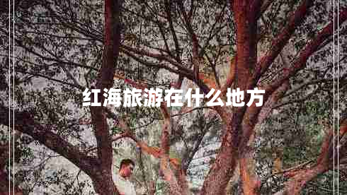 红海旅游在什么地方