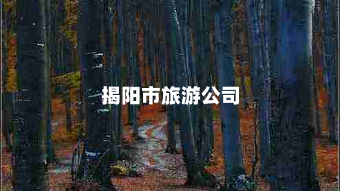 揭阳市旅游公司