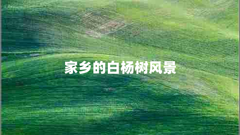 家乡的白杨树风景 家乡的白杨树风景