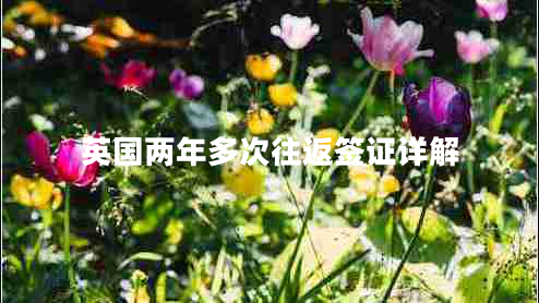 英国两年多次往返签证详解