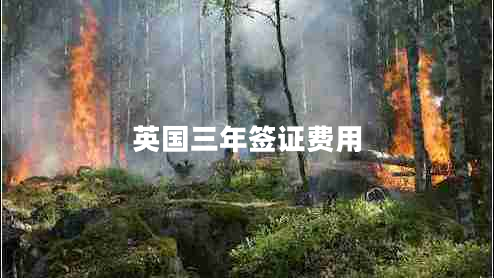 英国三年签证费用 英国三年签证费用