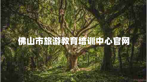 佛山市旅游教育培训中心官网