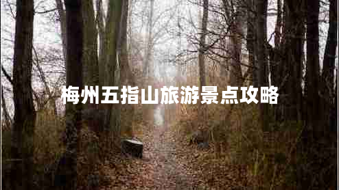 梅州五指山旅游景点攻略