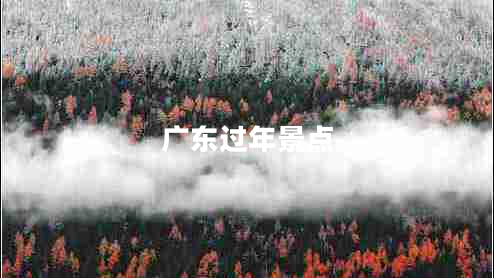广东过年景点