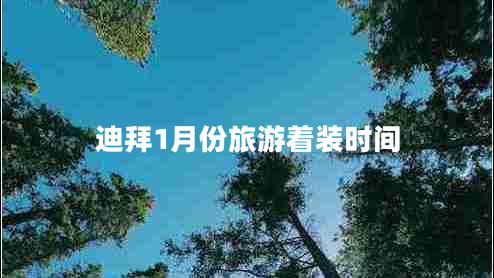 迪拜1月份旅游着装时间