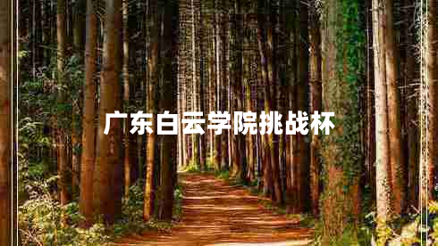 广东白云学院挑战杯