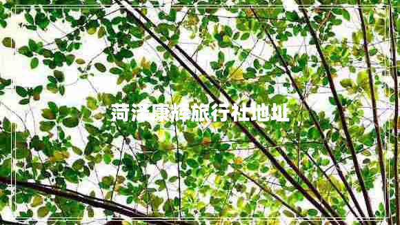 菏泽康辉旅行社地址