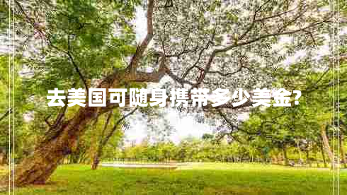 去美国可随身携带多少美金?