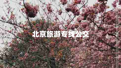 北京旅游专线公交