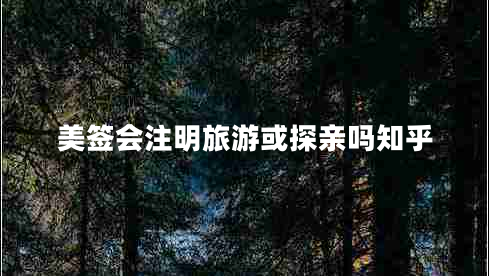 美签会注明旅游或探亲吗知乎