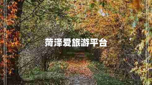 菏泽爱旅游平台