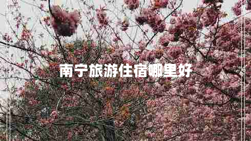南宁旅游住宿哪里好