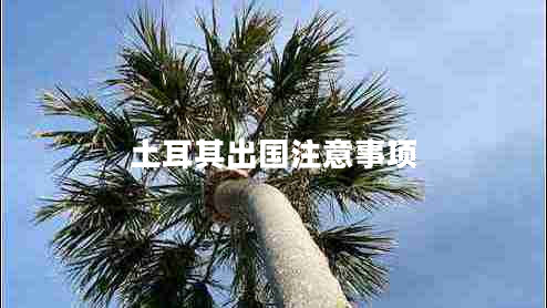 土耳其出国注意事项