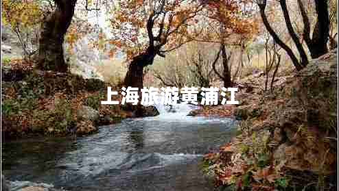 上海旅游黄浦江