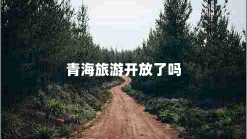青海旅游开放了吗