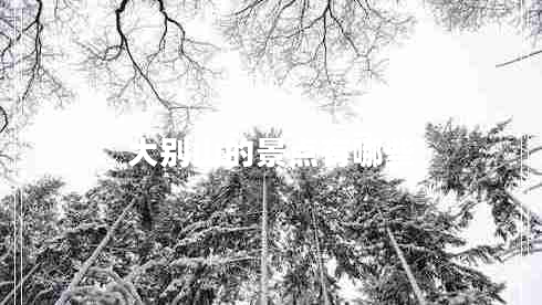 大别山的景点有哪些
