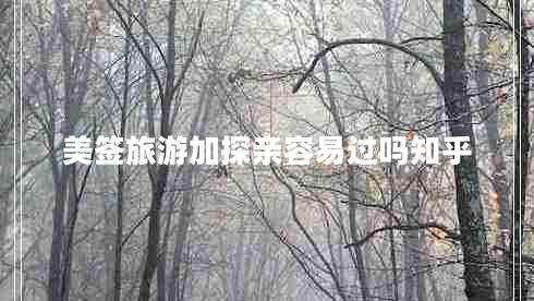 美签旅游加探亲容易过吗知乎